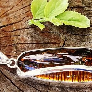 Natūralaus gintaro pakabukas