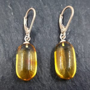 Baltijos gintaro auskarai