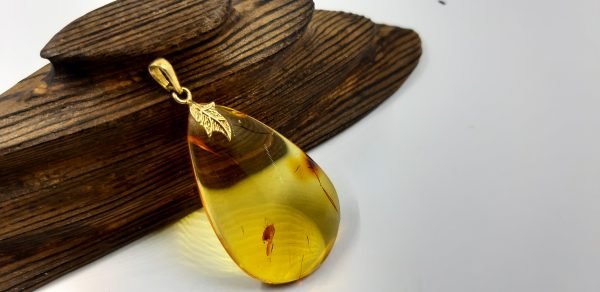 Baltijos gintaro pakabukas