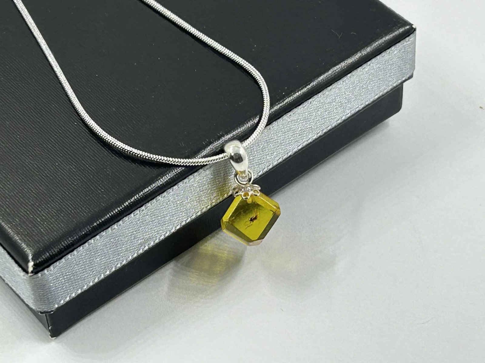 Gintaro pakabukas su inkliuzų